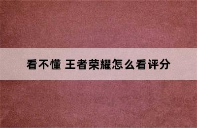 看不懂 王者荣耀怎么看评分